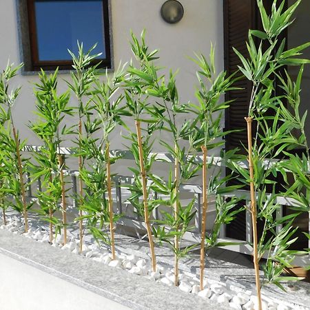 Casa Jotti Apartamento Cardano Al Campo Exterior foto